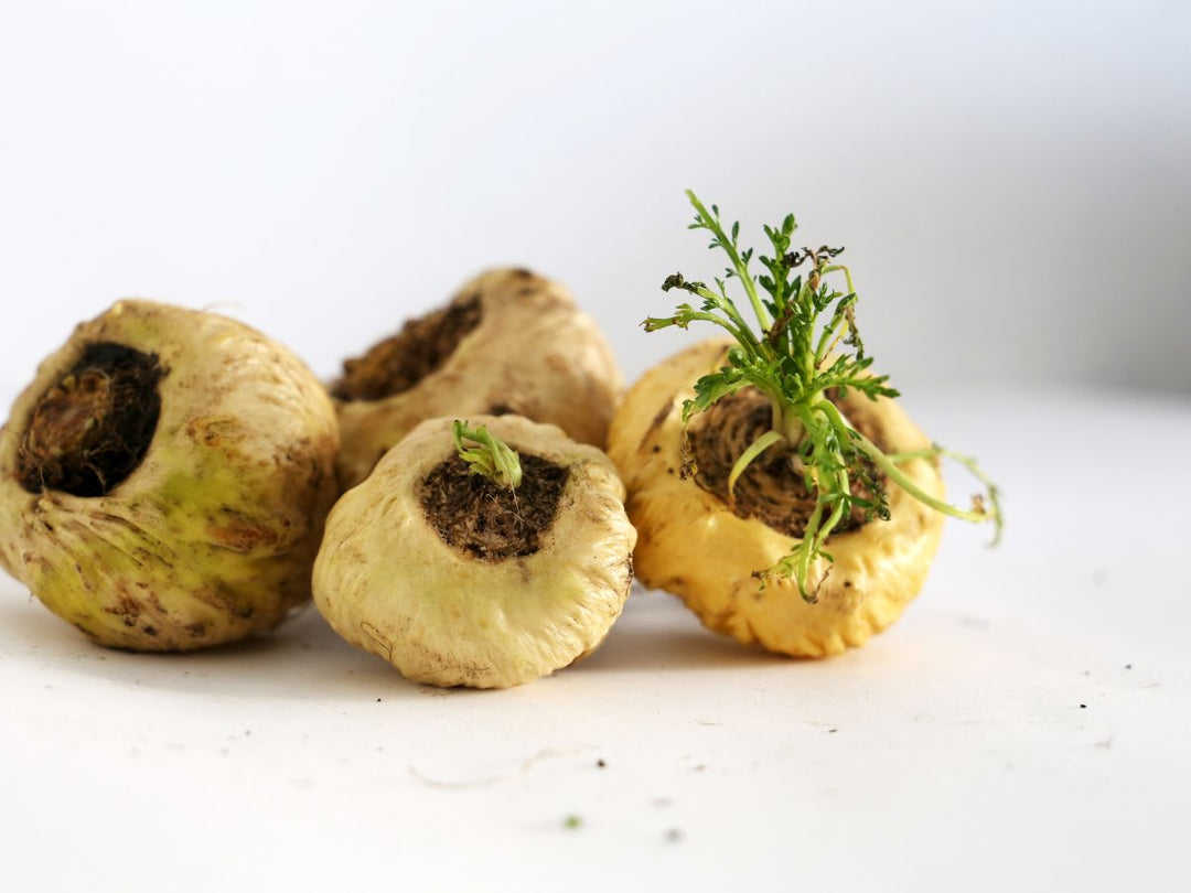 Integratori con Maca