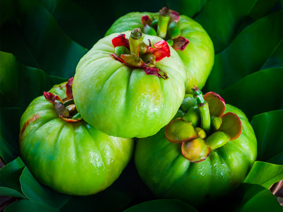 Garcinia cambogia: cos'è, da dove viene e come si usa.